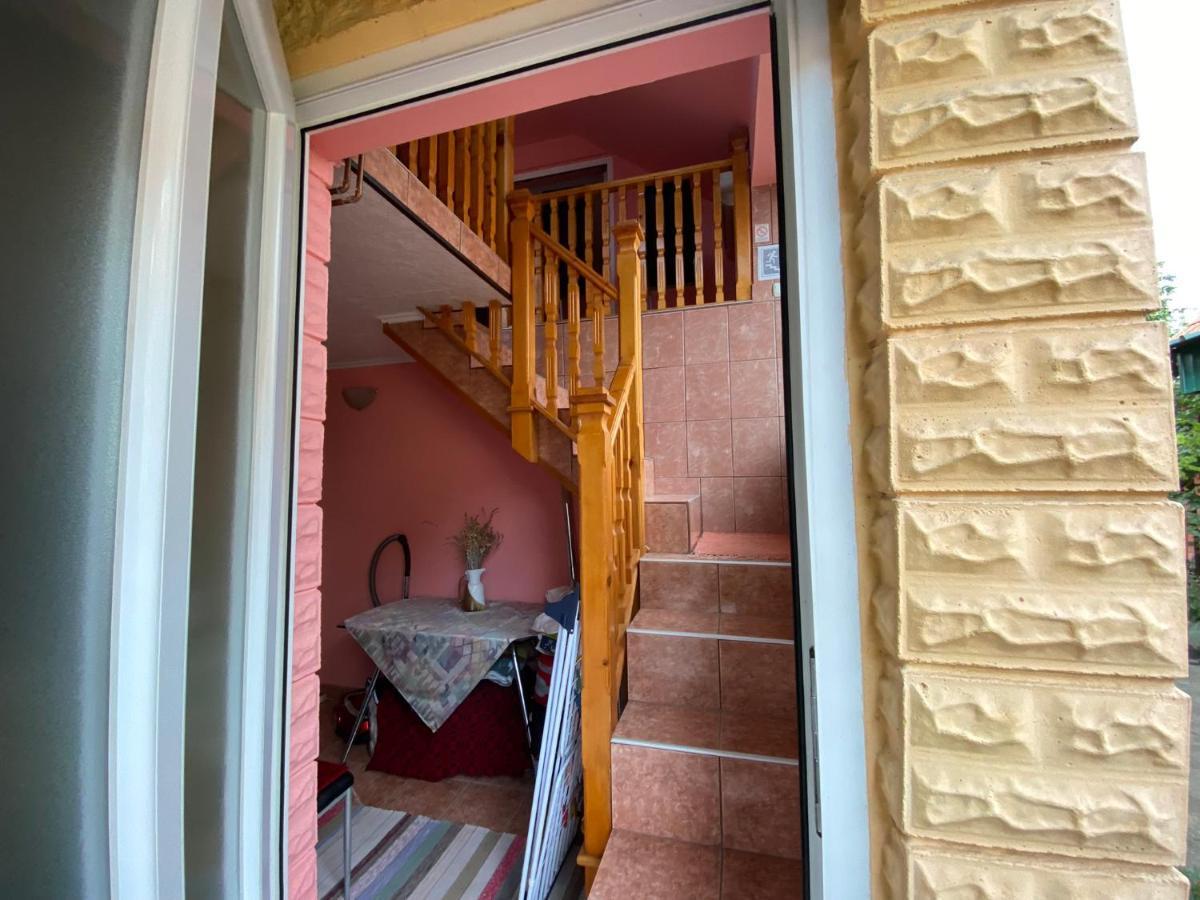 Sud ,,Antal I Olga,, Bed & Breakfast Skorenovac Ngoại thất bức ảnh