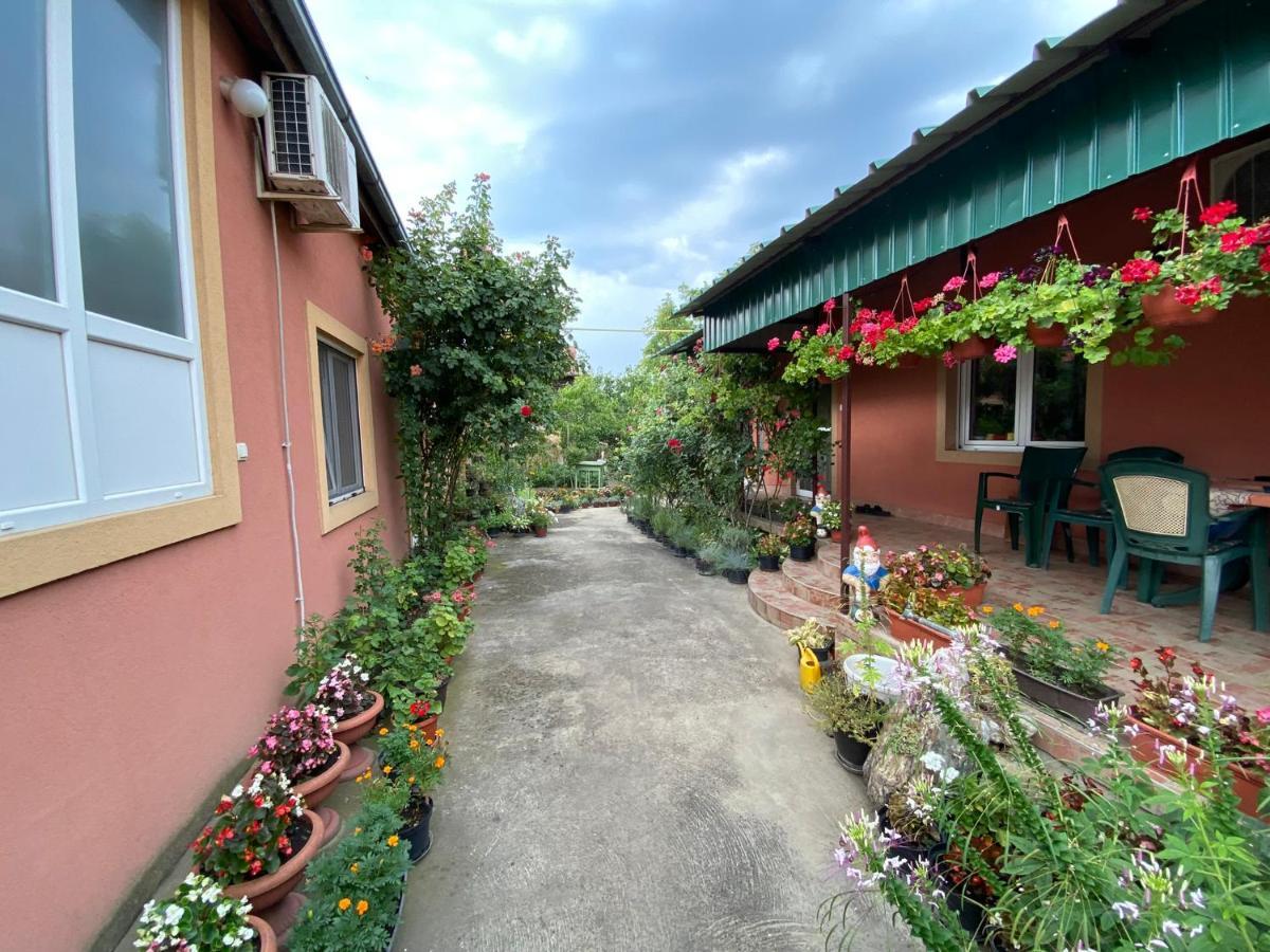 Sud ,,Antal I Olga,, Bed & Breakfast Skorenovac Ngoại thất bức ảnh