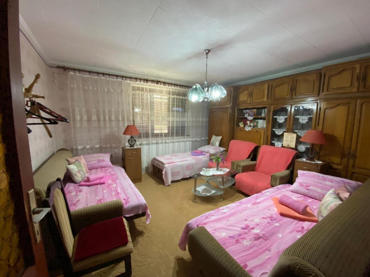Sud ,,Antal I Olga,, Bed & Breakfast Skorenovac Ngoại thất bức ảnh