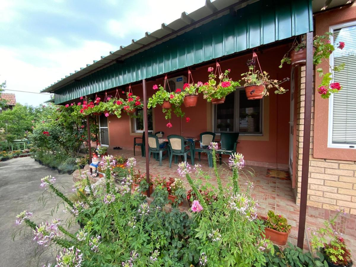 Sud ,,Antal I Olga,, Bed & Breakfast Skorenovac Ngoại thất bức ảnh
