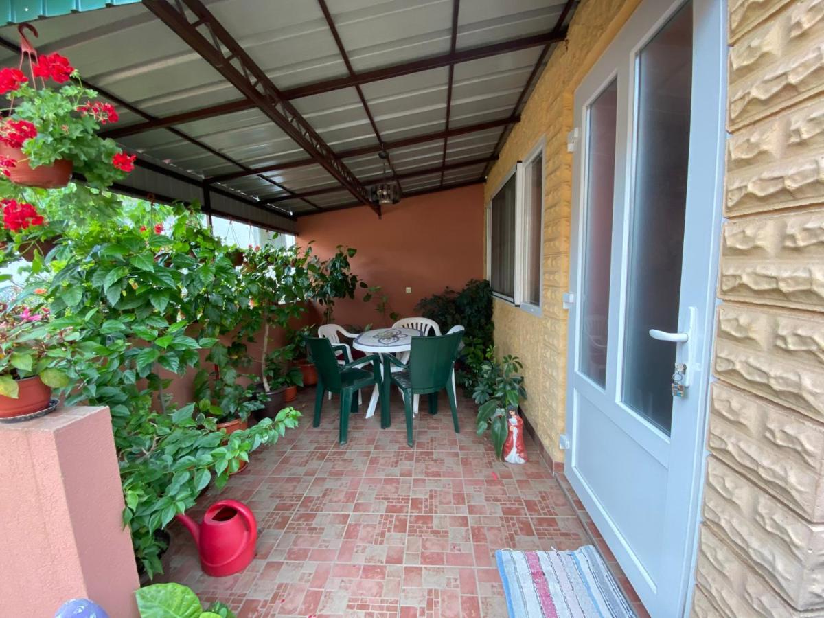 Sud ,,Antal I Olga,, Bed & Breakfast Skorenovac Ngoại thất bức ảnh