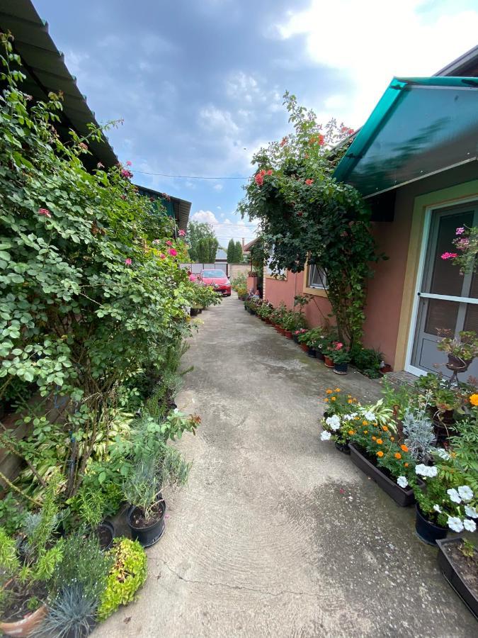 Sud ,,Antal I Olga,, Bed & Breakfast Skorenovac Ngoại thất bức ảnh