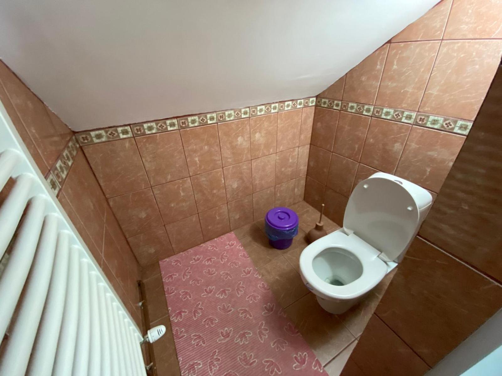 Sud ,,Antal I Olga,, Bed & Breakfast Skorenovac Phòng bức ảnh